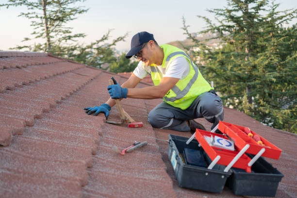 Best Flat Roof Repair Services  in Dublin, VA